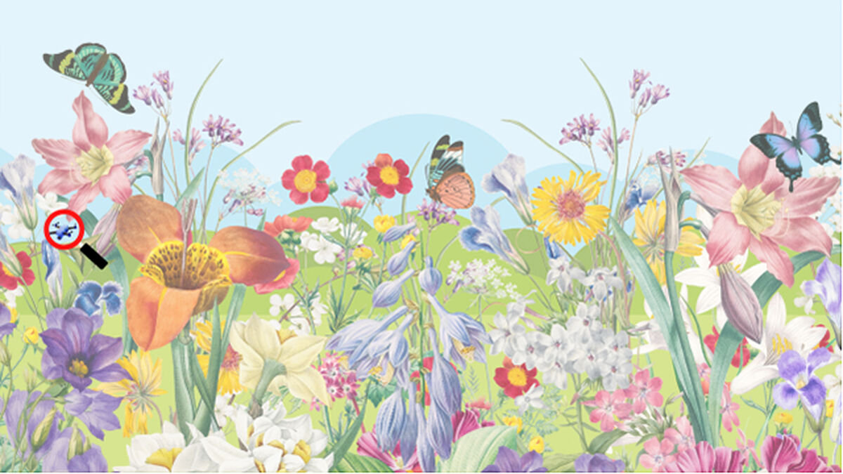 Find It! Spring Edition image number 2